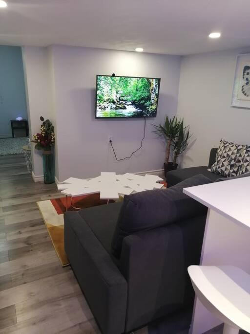 Cozy Nest Basement Unit Daire Hamilton Dış mekan fotoğraf