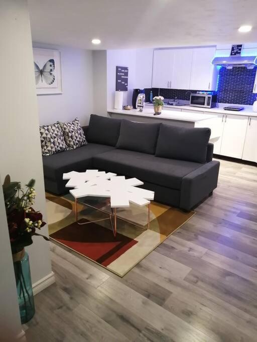 Cozy Nest Basement Unit Daire Hamilton Dış mekan fotoğraf