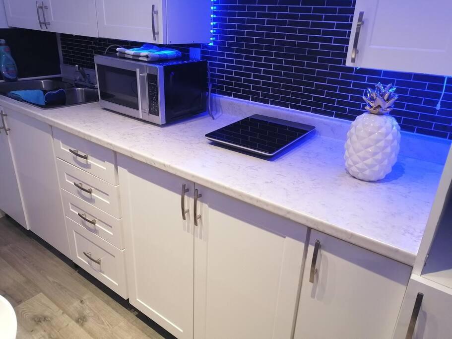 Cozy Nest Basement Unit Daire Hamilton Dış mekan fotoğraf